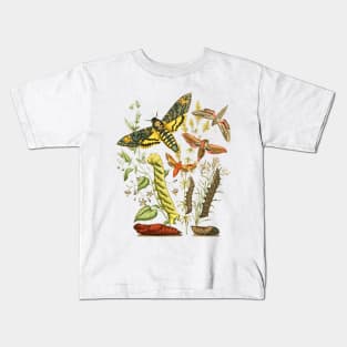 Hawk Moth Caterpillar Vintage Scientific Entomology Butterfly Natural History Kids T-Shirt